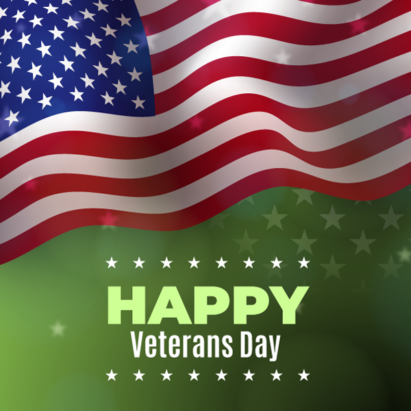 Veterans Day Poster Ideas For Students