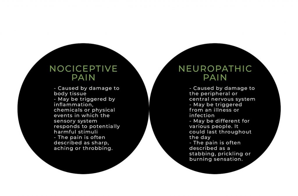 nociceptive and neuropathic pain