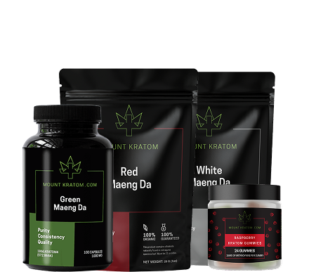 Holiday Comfort Bundle