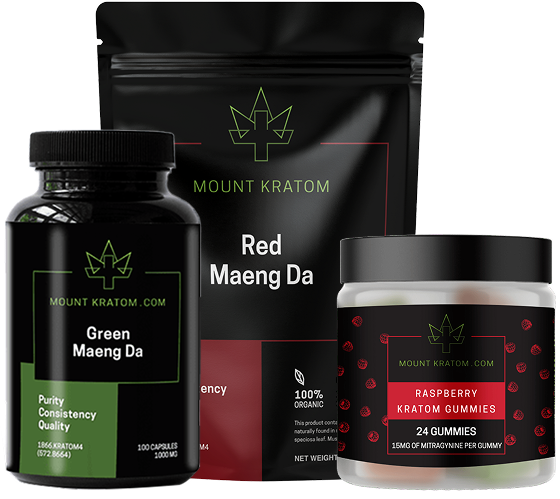 Holiday Comfort Bundle